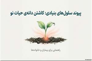 پیوند سلول‌های بنیادی خون‌ساز چیست و چگونه به درمان بیماران کمک می‌کند؟