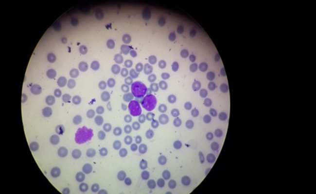 گالری تصاویر